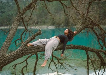 Relaxing-forest-bathing-experience-in-nature