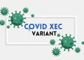 COVID-XEC-variant
