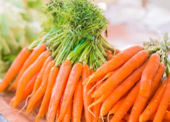 Bunch-of-fresh-orange-carrots