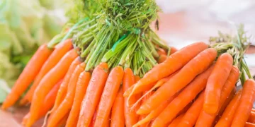 Bunch-of-fresh-orange-carrots