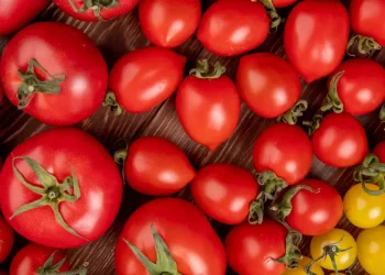 Fresh-red-tomatoes