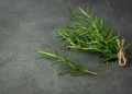 Rosemary-also-known-as-Rosmarinus-officinalis-or-wild-rosemary