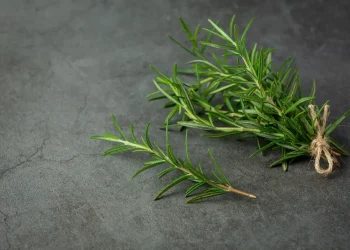 Rosemary-also-known-as-Rosmarinus-officinalis-or-wild-rosemary