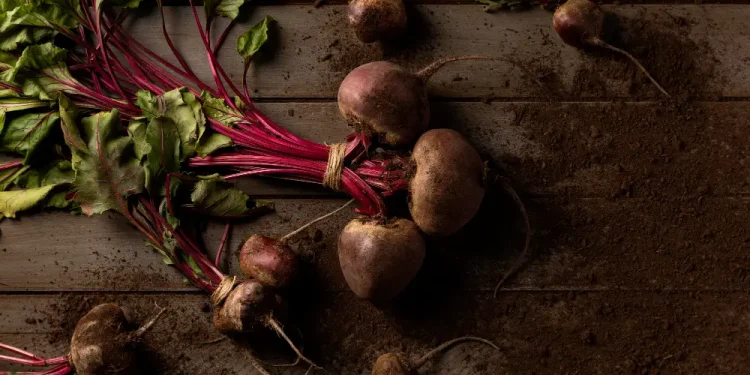 10-Powerful-Health-Benefits-of-Beetroot