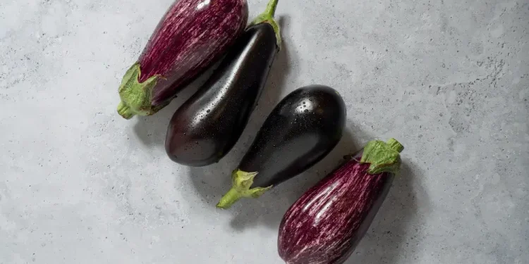 health-benefits-of-eggplant